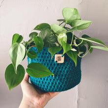 Load image into Gallery viewer, Crocheted Plant Basket
