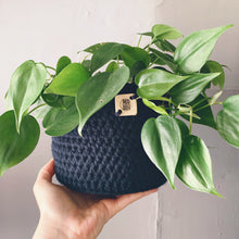 Load image into Gallery viewer, Crocheted Plant Basket
